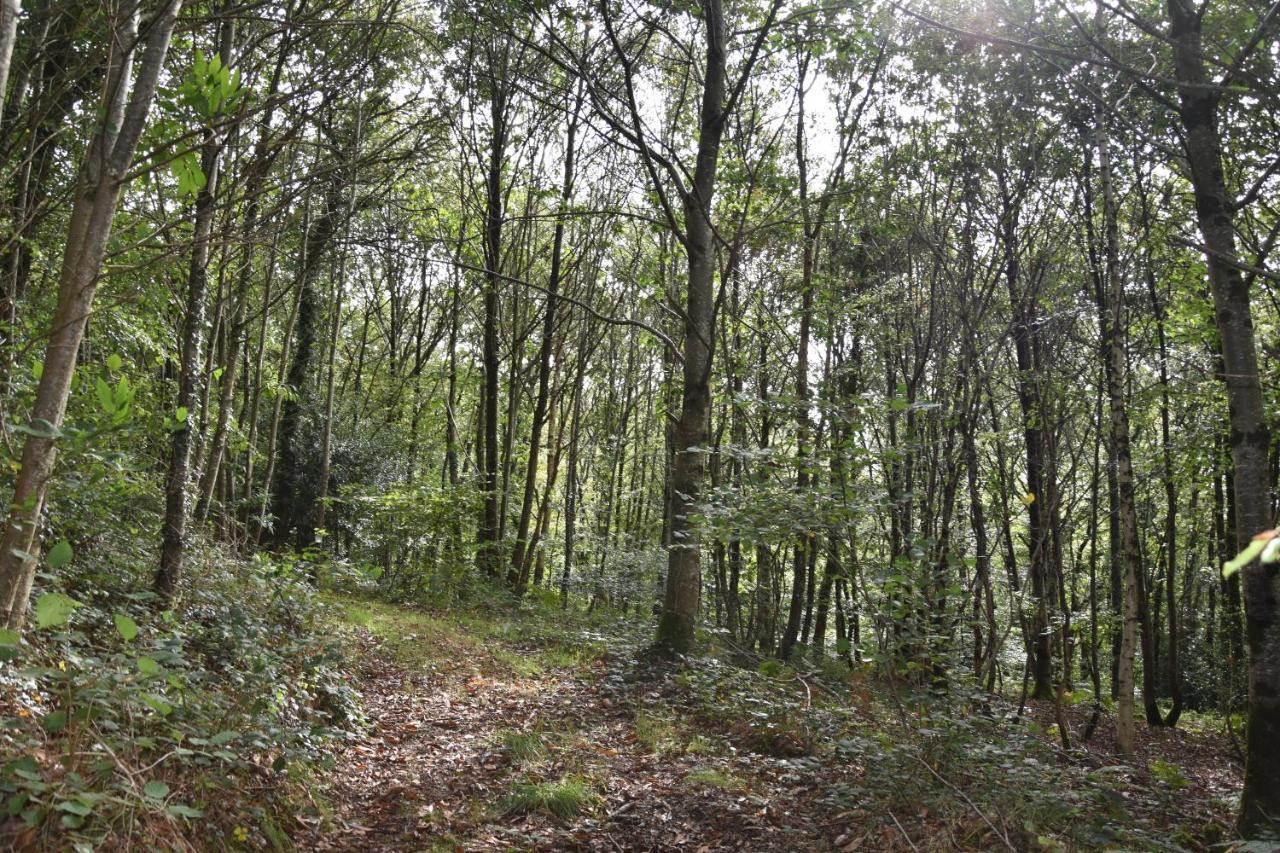 Keryanti Domaine De Lesleac'H Villa Le Ponthou Kültér fotó